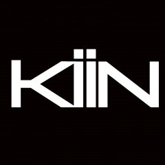 KIIN DEVELOPMENT LTD
